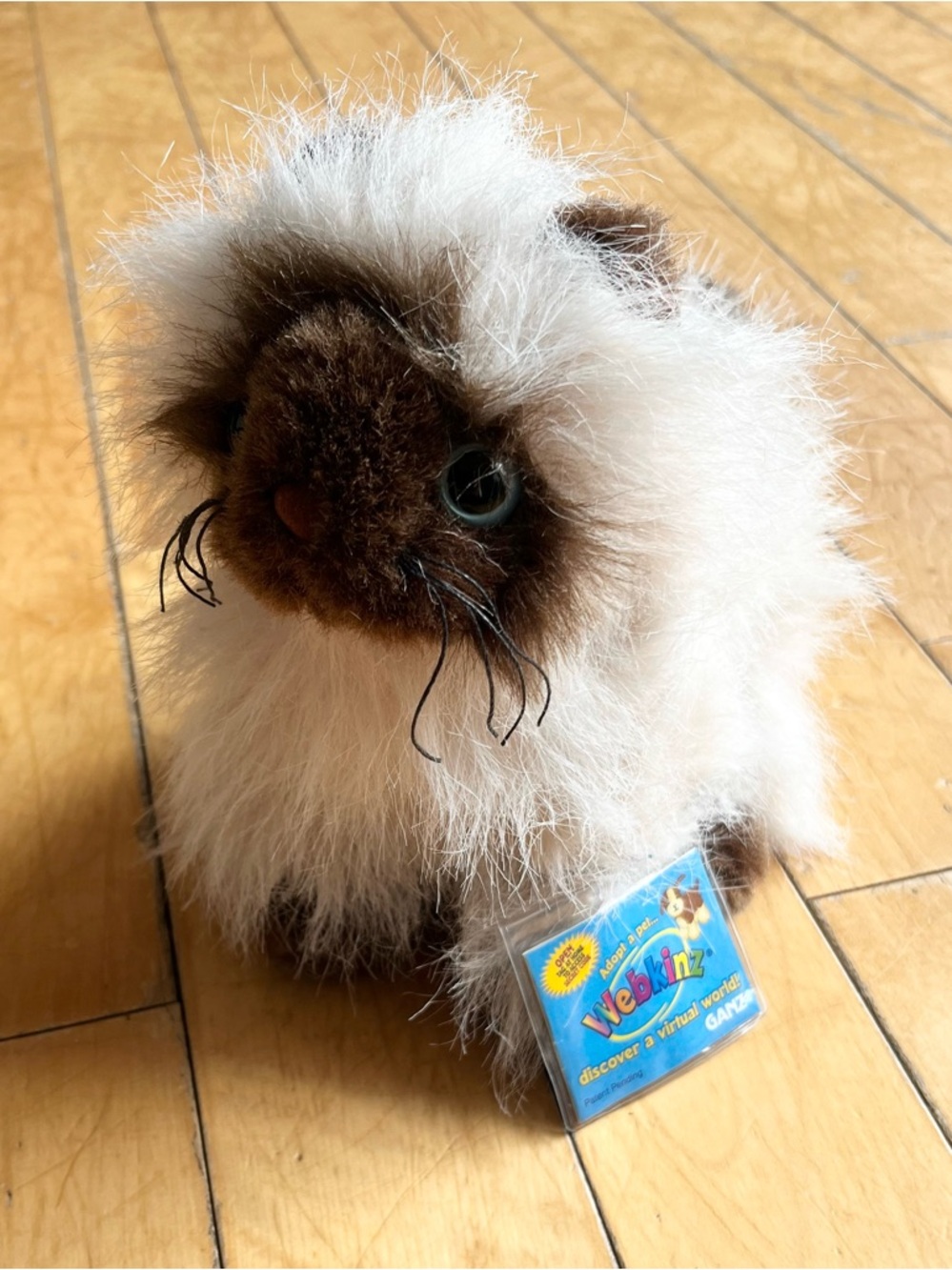 GANZ WEBKINZ Himalayan Cat Plush Stuffed Animal 8 Inch Kitten Toy With Tag